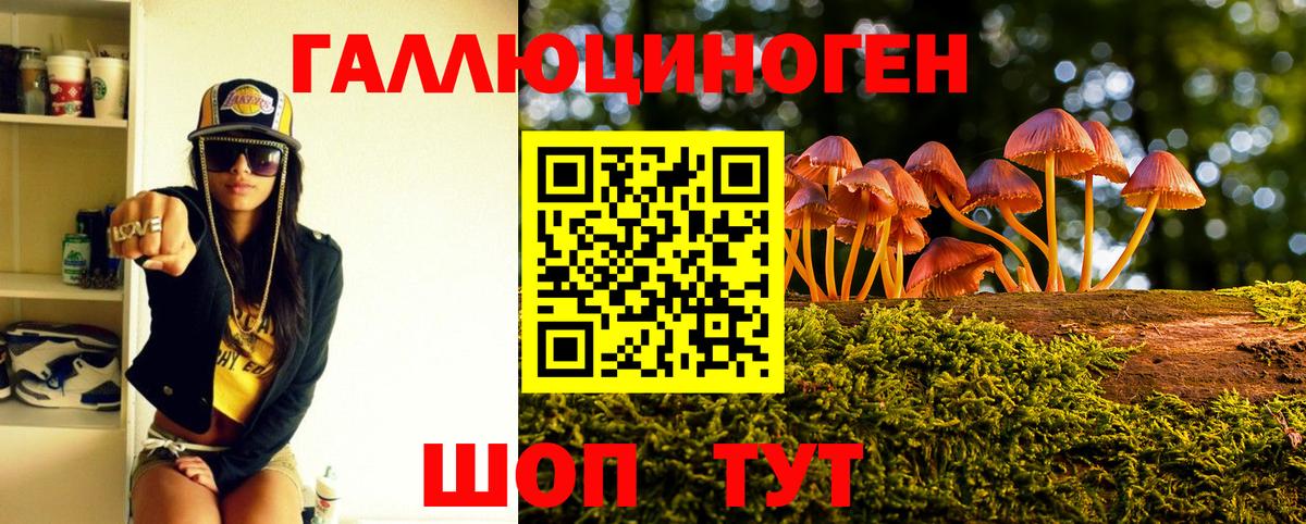 Псилоцибиновые грибы мухоморы Абинск